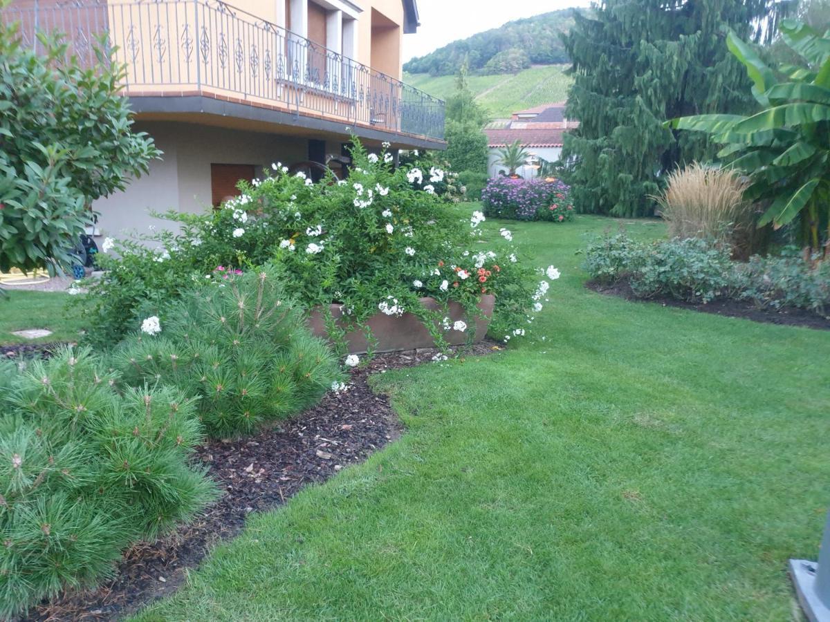 Apartament La Rocatelle Andlau-au-Val Zewnętrze zdjęcie